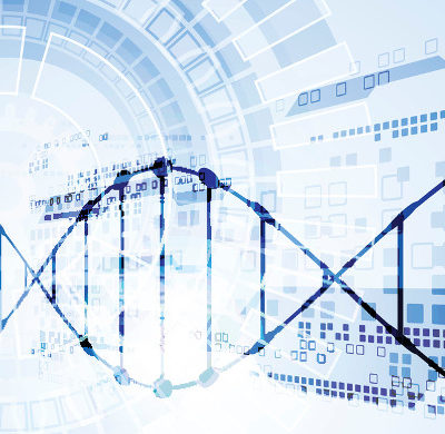 Amplicon DNA Illumina sequencing
