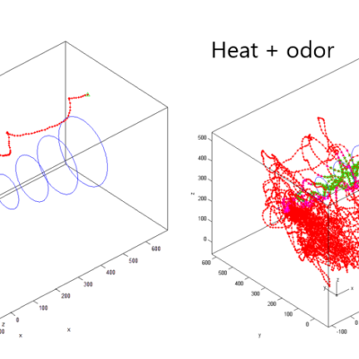 Vector behaviour experiments in small cages (CL1)