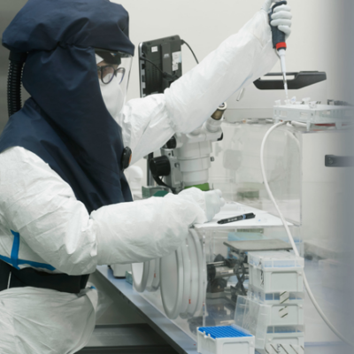 Vector experimental infections with CL2 and CL3 arboviruses