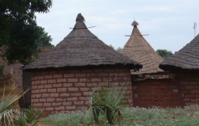 Access to field site facilities (with technical support and/or training) in Burkina Faso