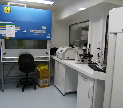 Mosquito experimental infections with CL2 arboviruses