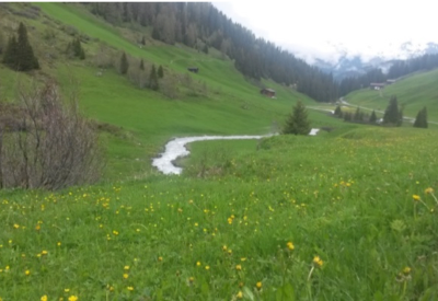 Facility Access for surveillance of Culicoides (biting midges)