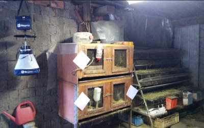 Facility Access for surveillance of sandflies (Phlebotomus)