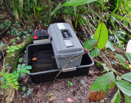 Personalized Training in detection of pathogen circulation by the deployment of sugar-impregnated filter papers (FTA cards) in the field